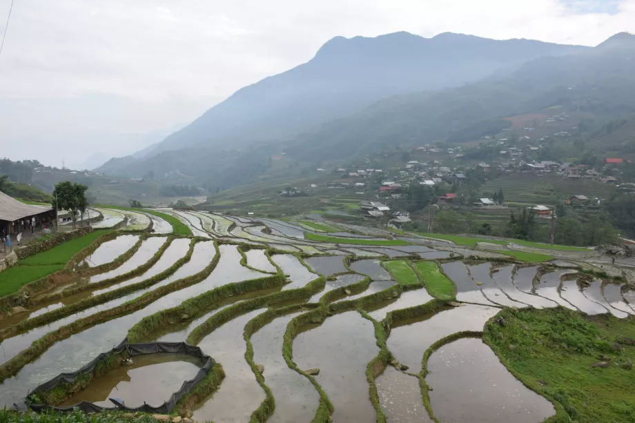 Sapa, Vietname