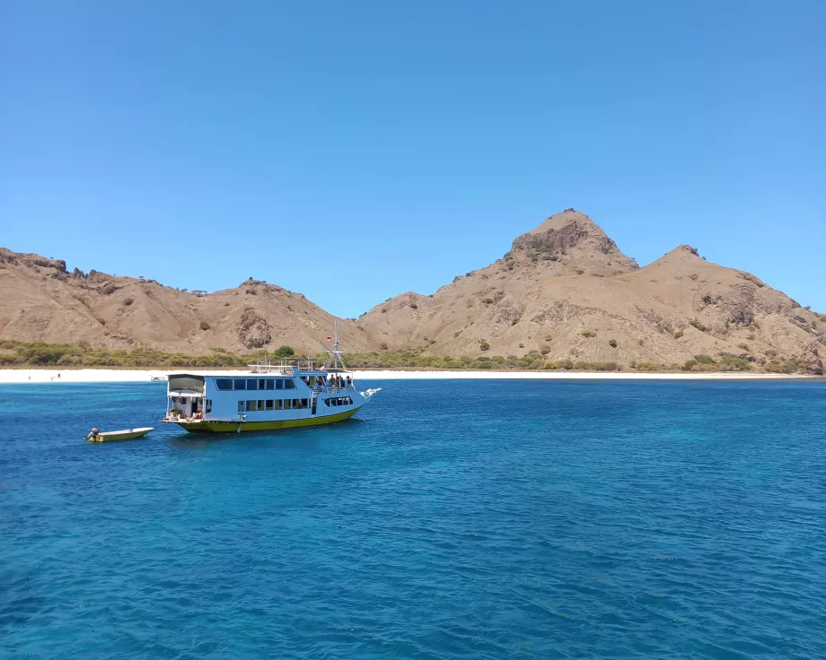 Ilha de Rinca, Ilhas Komodo, Indonésia