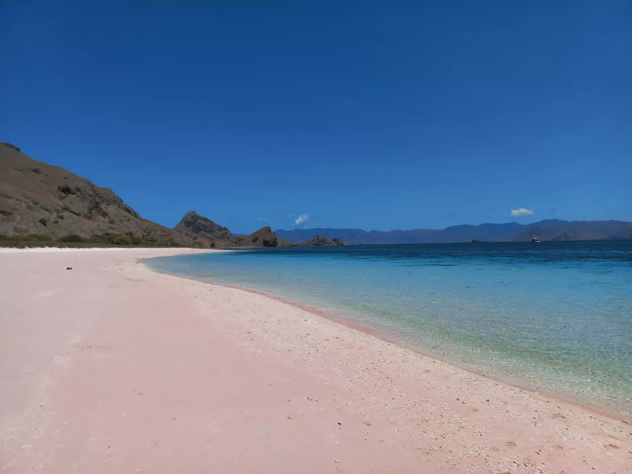 Praia Rosa, Ilhas Komodo, Indonésia