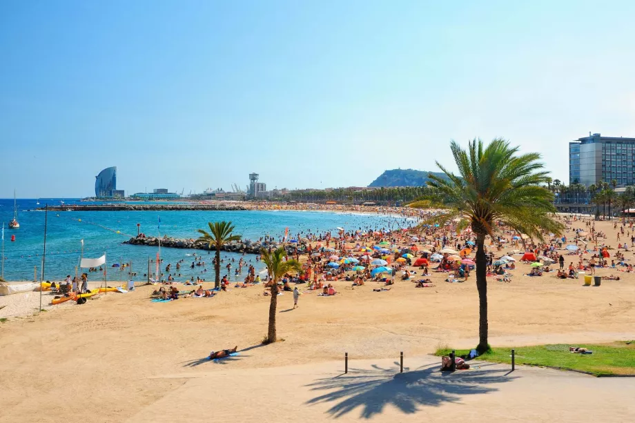 Praia de Barcelona