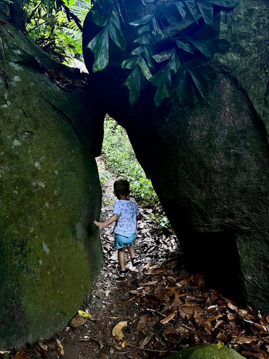 Caminhada Paya-Genting, Tioman