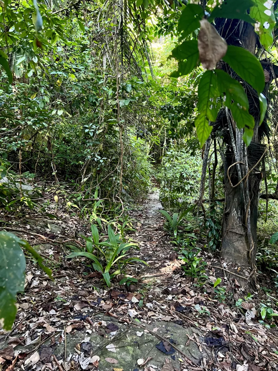 Caminhada de Paya até Genting, Tioman